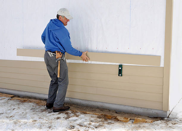 Best Custom Siding Design  in Wheaton, IL