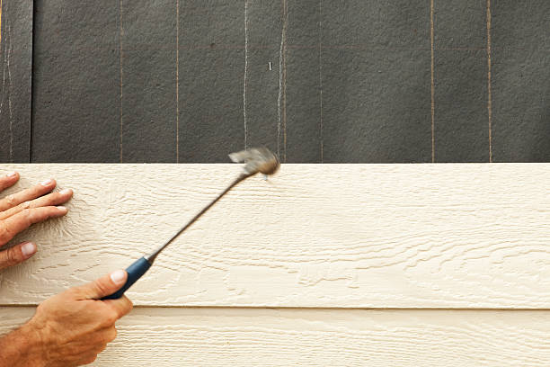 Best Siding for Multi-Family Homes  in Wheaton, IL